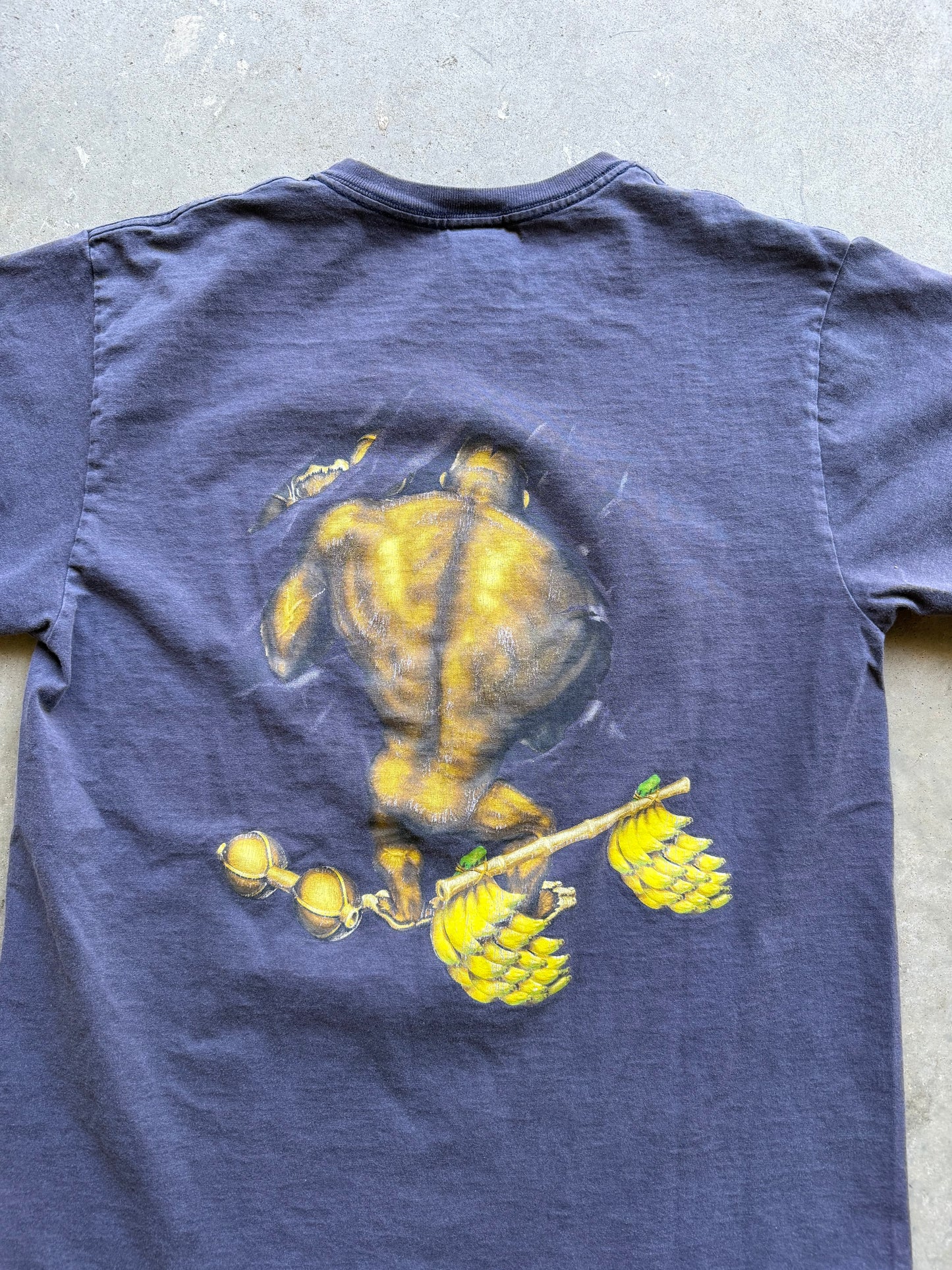 Vintage Rainforest Cafe Breakthrough - M