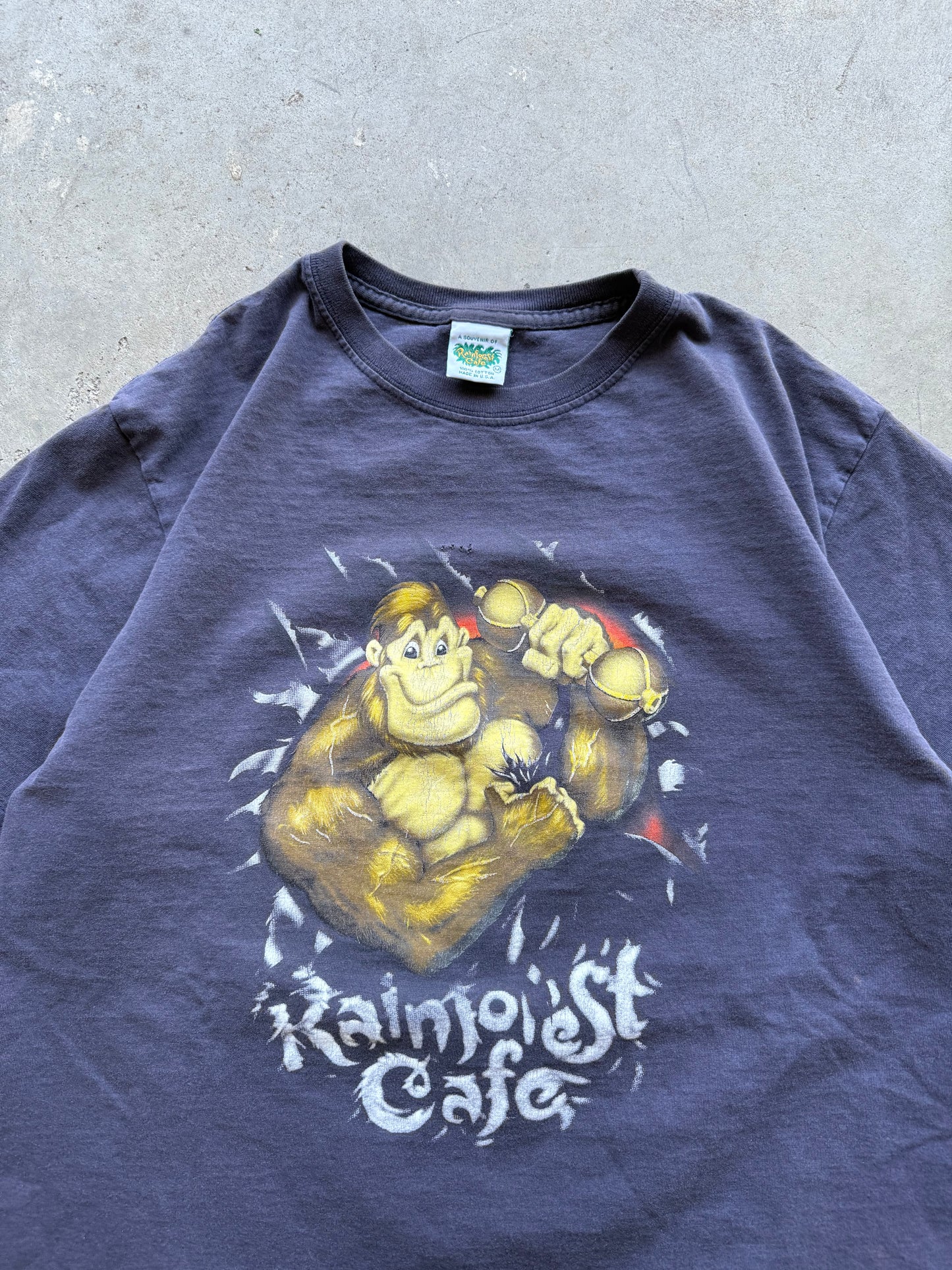 Vintage Rainforest Cafe Breakthrough - M
