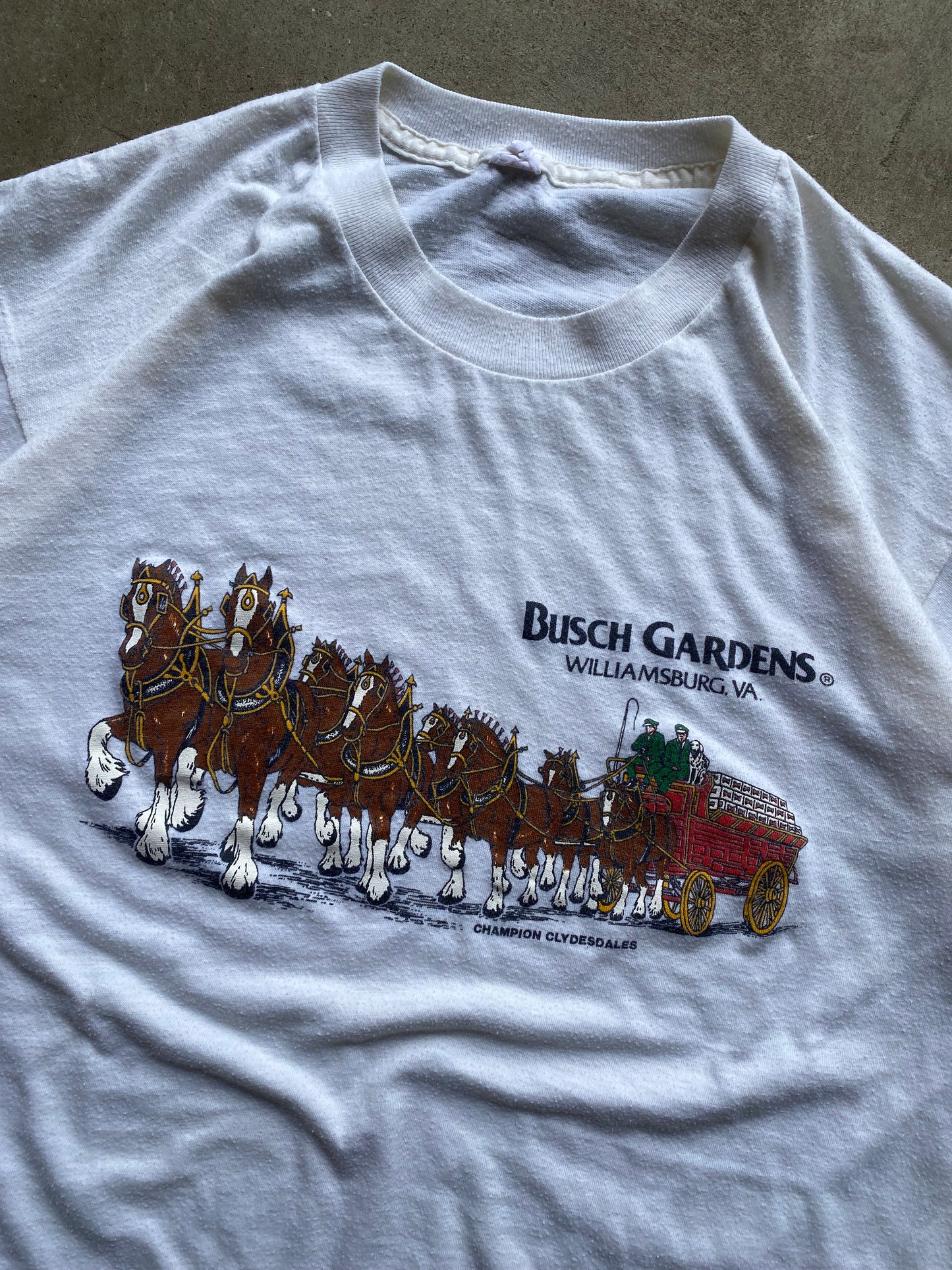 Vintage Busch Gardens Tee - M