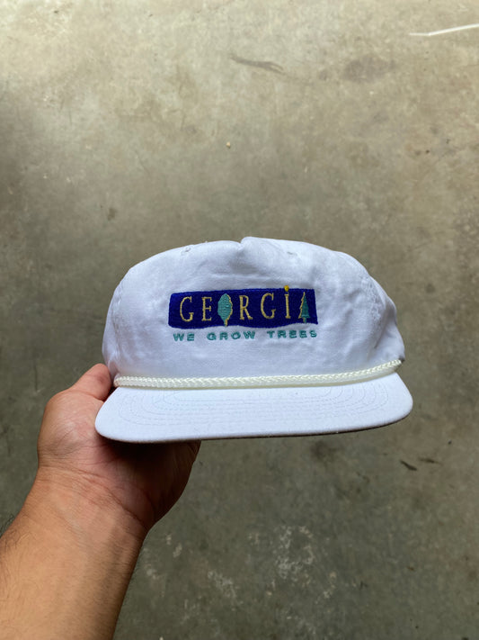 Georgia SnapBack hat