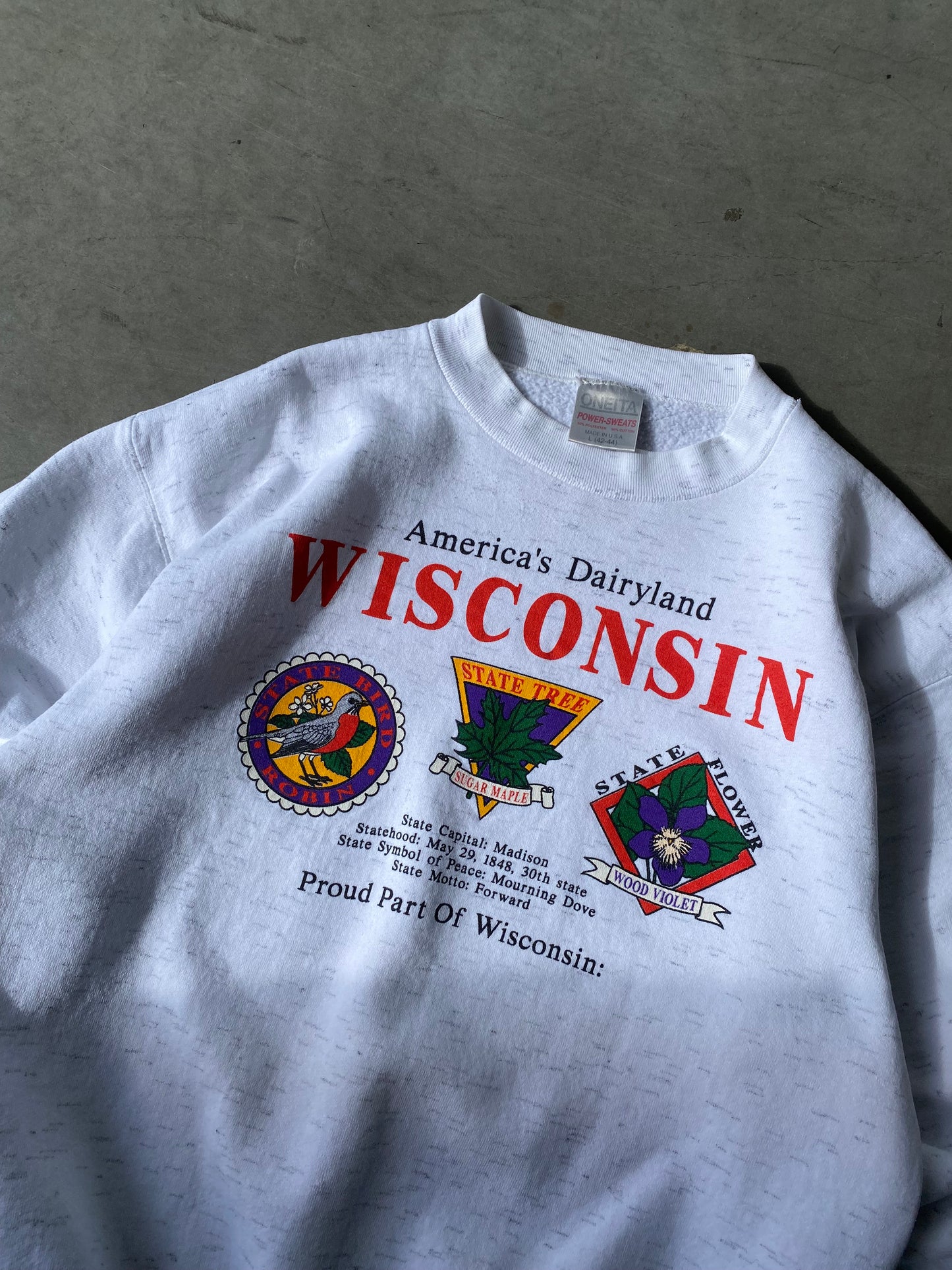 Vintage Wisconsin Crewneck - L